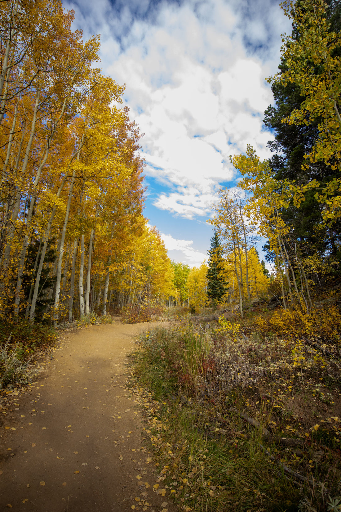 The Yoga of Slowing Down: Honoring Nature’s Rhythm